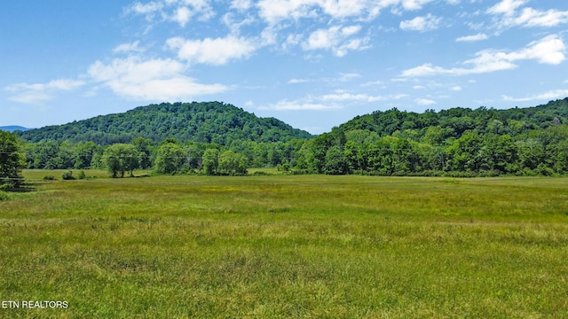 5640 Brimstone Rd, Robbins, TN 37852 - view of mountain backdrop with rural landscape