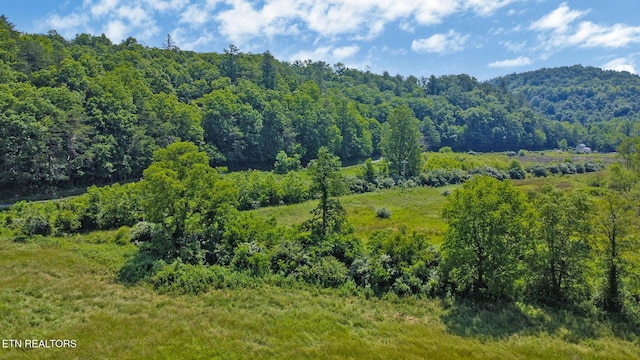 5640 Brimstone Rd, Robbins, TN 37852 - view of mountain backdrop featuring a forest