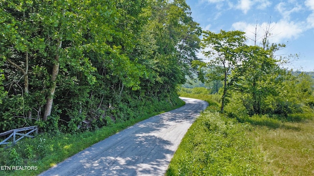 5640 Brimstone Rd, Robbins, TN 37852 - view of asphalt street
