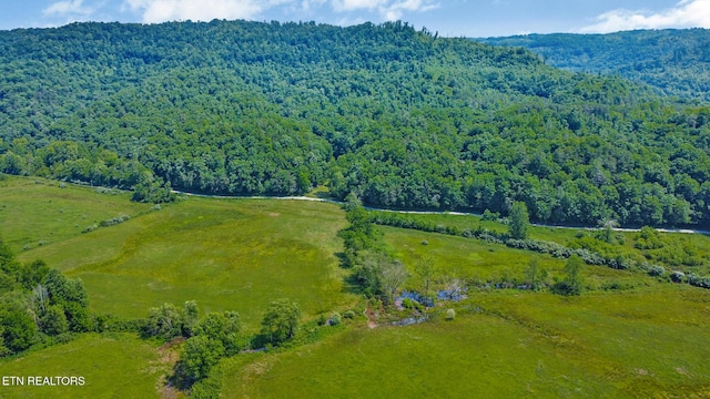 5640 Brimstone Rd, Robbins, TN 37852 - bird's eye view of a heavily wooded area