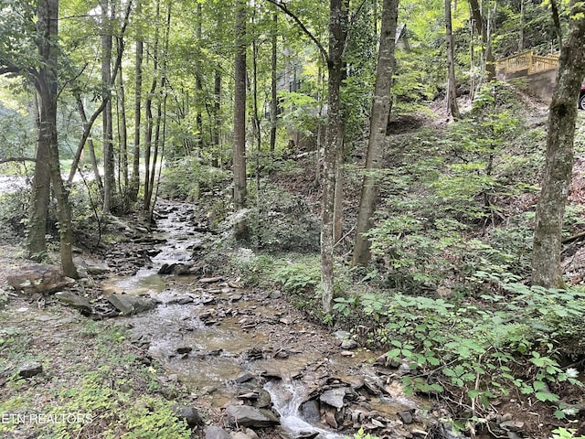 view of landscape