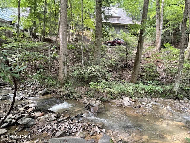 view of local wilderness