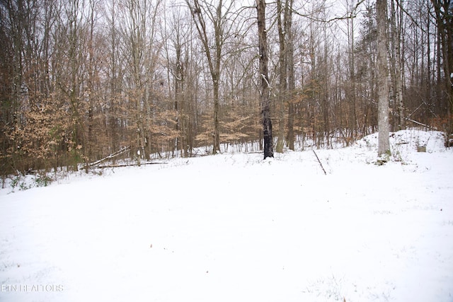 view of yard covered in snow