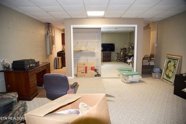 basement with light colored carpet