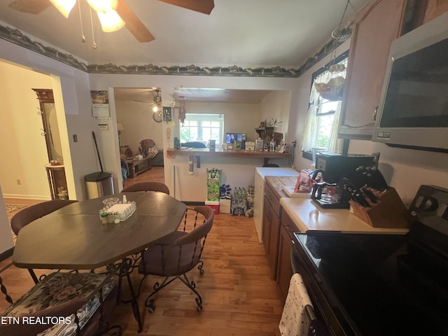 kitchen with ceiling fan, stainless steel appliances, and light hardwood / wood-style flooring