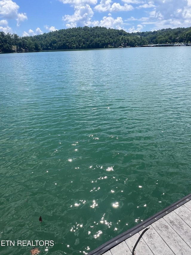 view of water feature