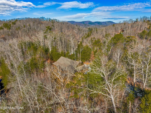 2133 Duck Pond Ln, Sevierville, TN 37876 - mountain view