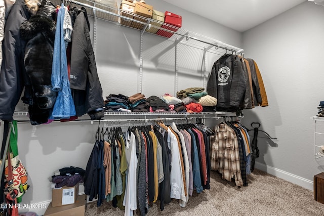 walk in closet with carpet