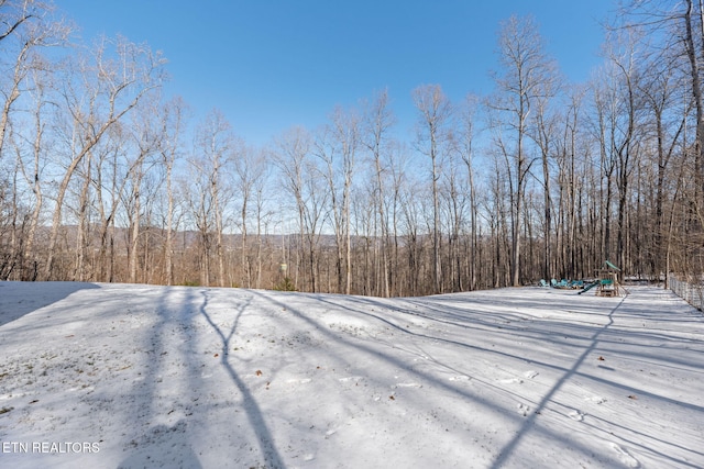 view of snowy yard