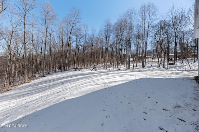 view of yard covered in snow