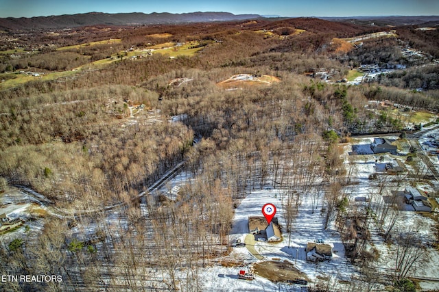 bird's eye view featuring a mountain view