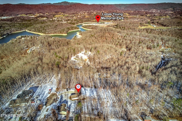 birds eye view of property with a water and mountain view