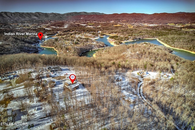 birds eye view of property featuring a water and mountain view