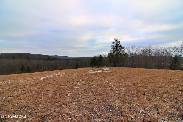 view of local wilderness