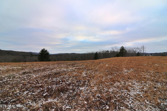 view of nature featuring a rural view