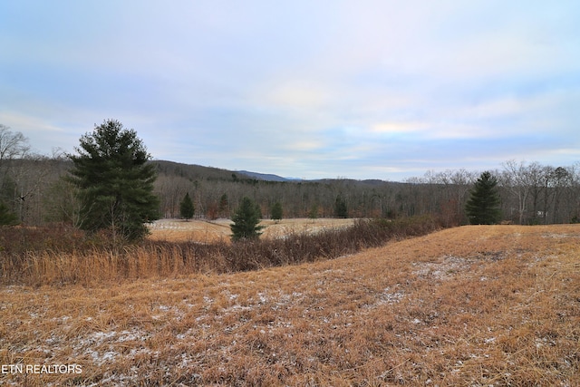 view of landscape featuring a rural view