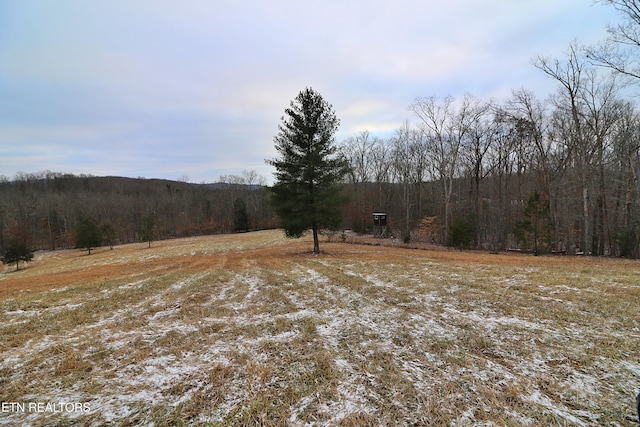 view of local wilderness