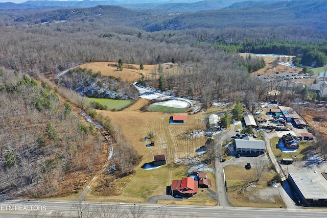 bird's eye view with a mountain view