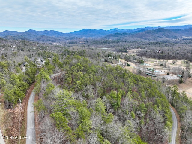 651 Hawk View Dr, Townsend, TN 37882 - photo 2