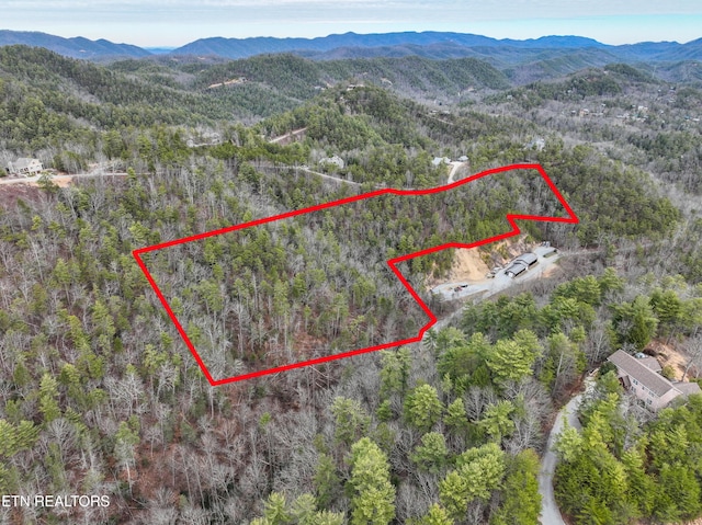 651 Hawk View Dr, Townsend TN, 37882 land for sale