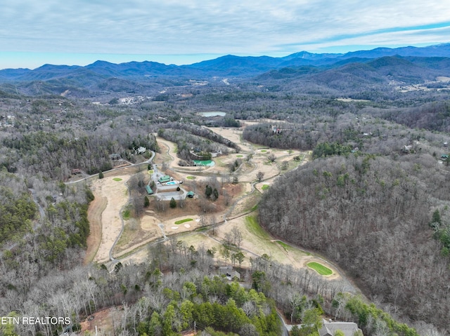 651 Hawk View Dr, Townsend, TN 37882 - photo 4