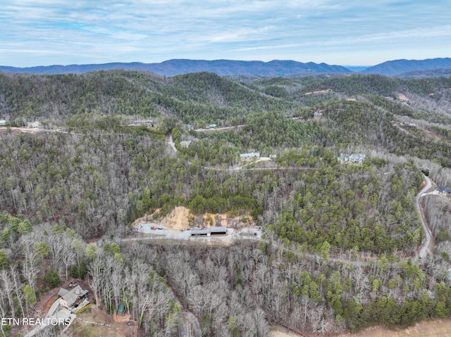 651 Hawk View Dr, Townsend, TN 37882 - photo 5