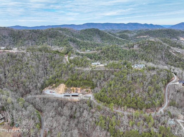 651 Hawk View Dr, Townsend, TN 37882 - photo 6