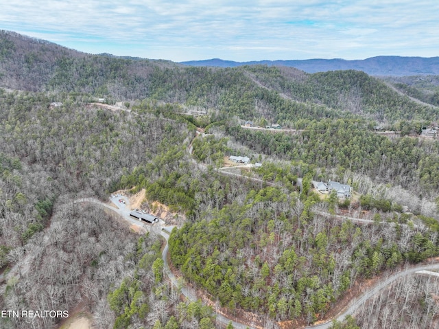 651 Hawk View Dr, Townsend, TN 37882 - photo 7