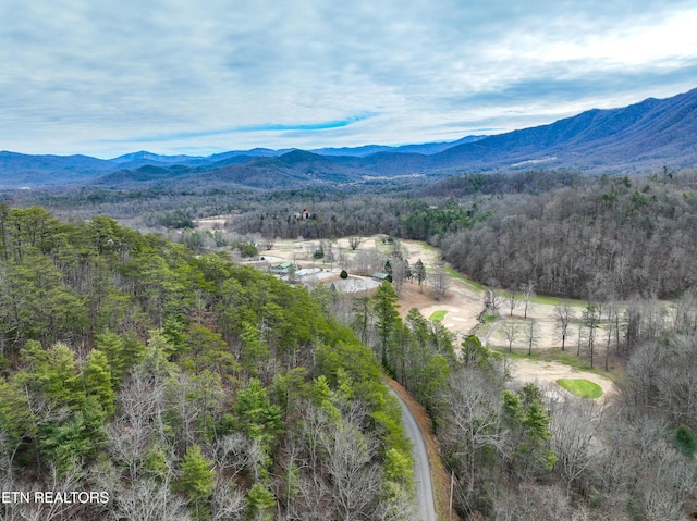 651 Hawk View Dr, Townsend, TN 37882 - photo 9