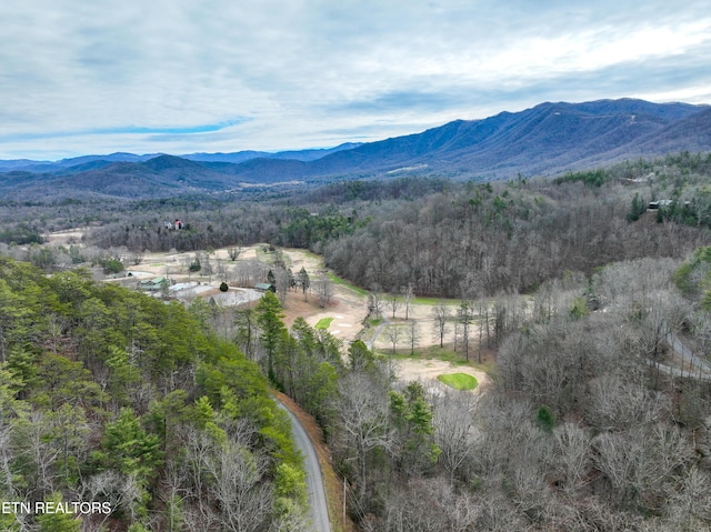 651 Hawk View Dr, Townsend, TN 37882 - photo 10