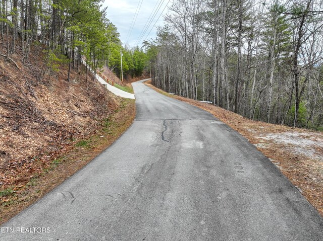 651 Hawk View Dr, Townsend, TN 37882 - photo 11