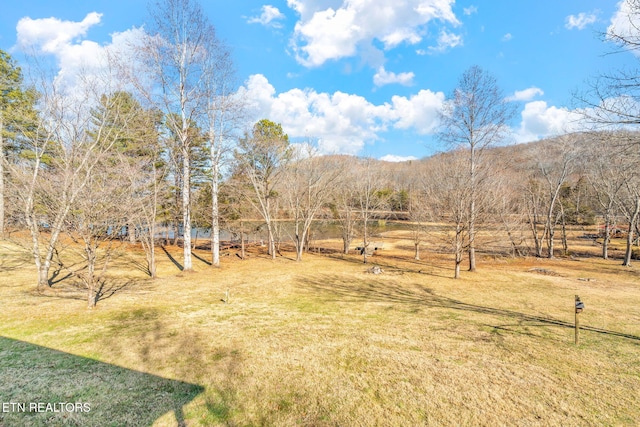 view of yard with a rural view