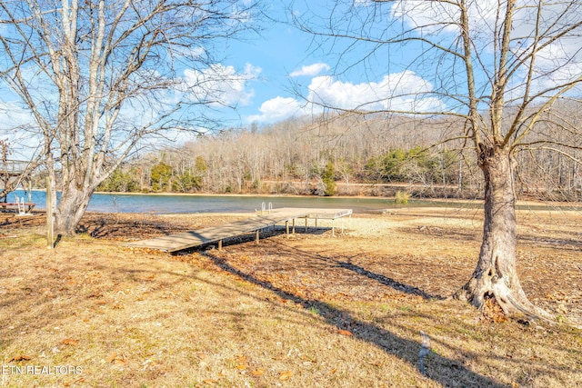 view of yard featuring a water view