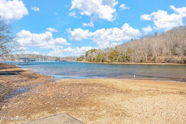 property view of water