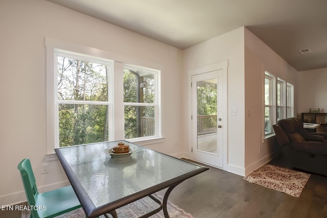 entryway featuring plenty of natural light and dark hardwood / wood-style flooring