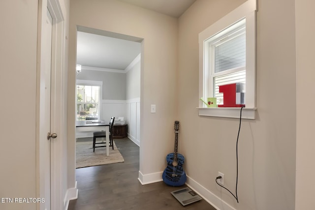 laundry area with ornamental molding and dark wood-type flooring