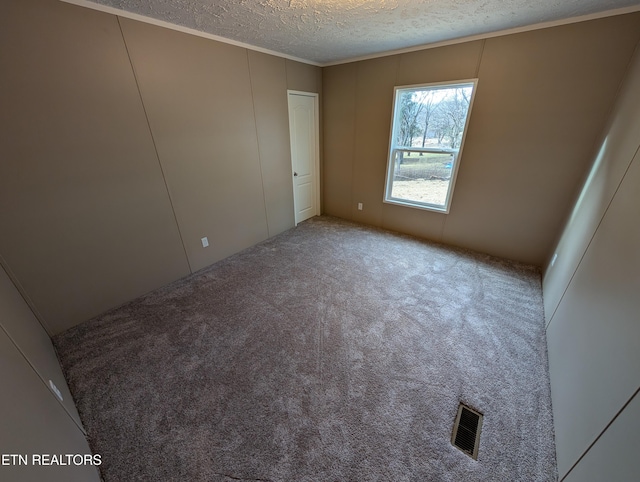 spare room with carpet and a textured ceiling