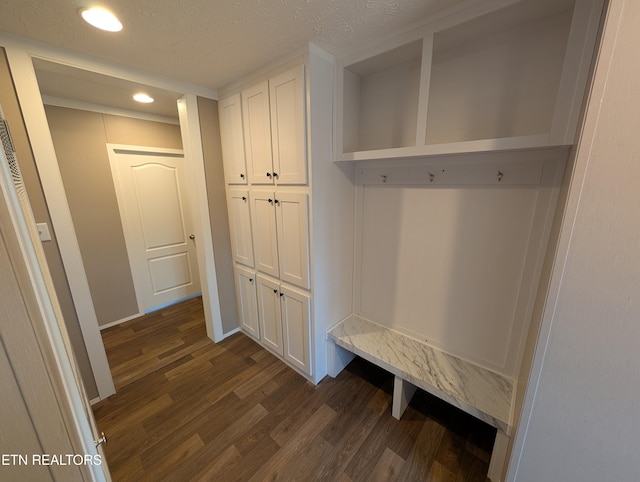 mudroom featuring a textured ceiling and dark hardwood / wood-style flooring