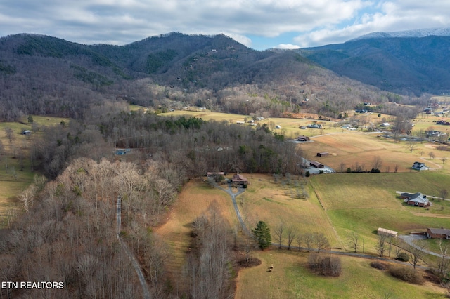 view of mountain feature with a rural view