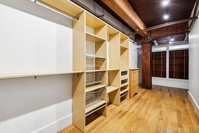 walk in closet with light wood-type flooring