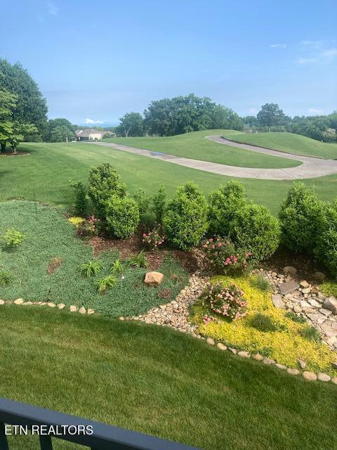 view of community featuring a yard