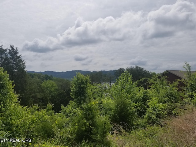 LOT61 Whispering Ct, Bean Station TN, 37708 land for sale