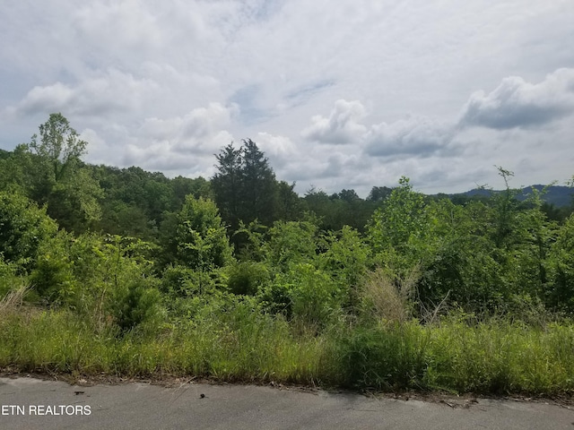 Listing photo 3 for LOT61 Whispering Ct, Bean Station TN 37708