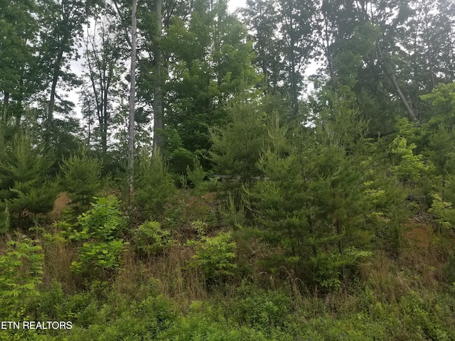 LOT33 Bayside Blvd, Bean Station TN, 37708 land for sale