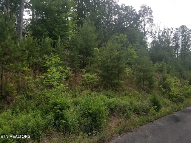 Listing photo 2 for LOT33 Bayside Blvd, Bean Station TN 37708