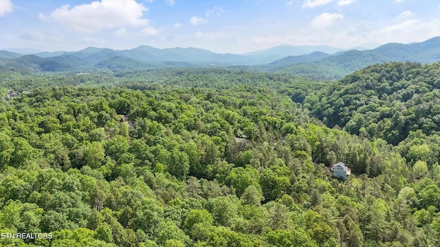 drone / aerial view featuring a mountain view