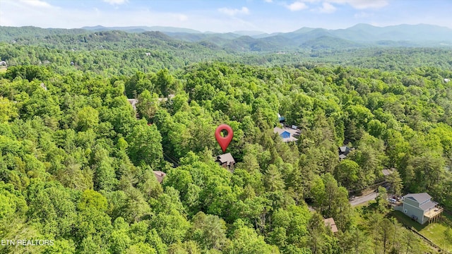 bird's eye view with a mountain view