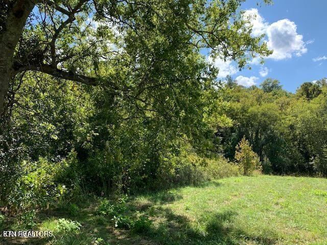 Eagle Ridge Dr, Rockwood TN, 37854 land for sale