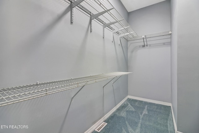 spacious closet with carpet floors