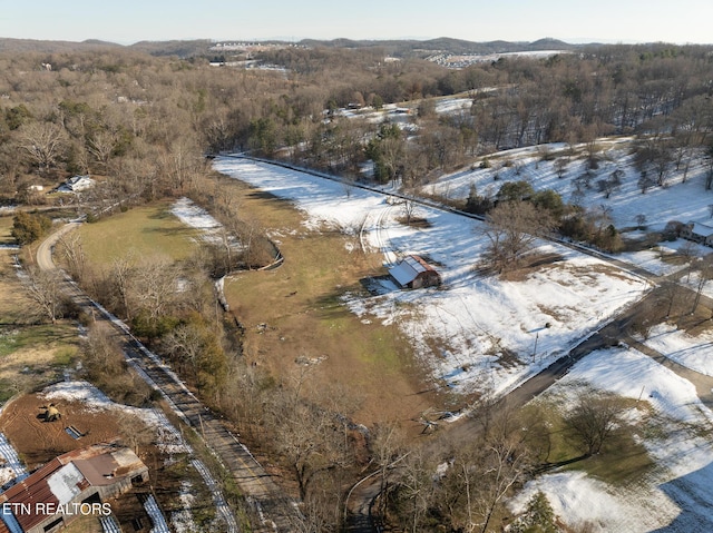 view of snowy aerial view